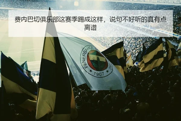 费内巴切俱乐部这赛季踢成这样，说句不好听的真有点离谱