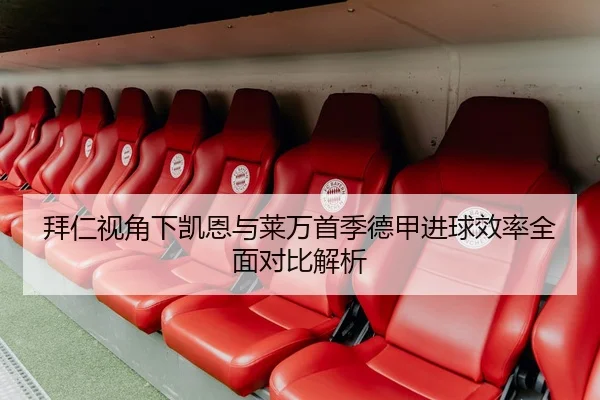 拜仁视角下凯恩与莱万首季德甲进球效率全面对比解析
